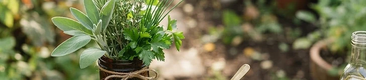 Flavor from the Soil: Crafting Garden-Fresh Herb Dressings