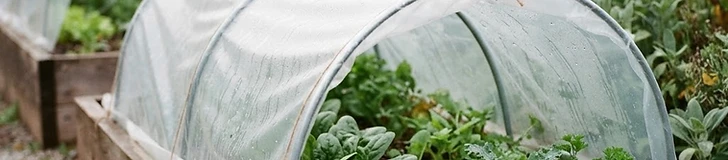 A close-up of a raised garden bed covered by a clear plastic hoop tunnel in an autumn garden with blurred trees in the background.