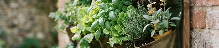 A close-up view of a fabric wall pocket planter hanging on a wooden fence, filled with vibrant green lettuce and fresh herbs.
