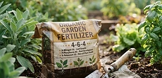 A gardener holding a small gardening spade while pointing at a bag of organic granular fertilizer with clear N-P-K labeling.