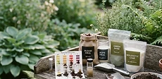 A close-up of a gardener's hands holding a soil test sample bag next to a printed laboratory report on a wooden potting bench.