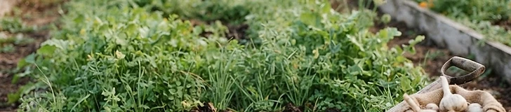 A close-up of a gardener's hands mixing dark, rich organic compost into soil with a metal hand rake in a wooden raised garden bed.
