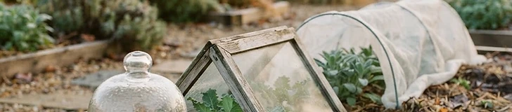 The Blanket of the Earth: Mastering Mulch for Every Season