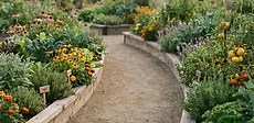 A wide, flat garden path made of grey stone pavers leading through a lush backyard garden with raised wooden beds on both sides.