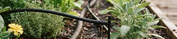 A close-up view of a black soaker hose winding through rows of green kale and herbs under a layer of brown wood chip mulch.