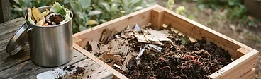 Black Gold in a Bin: Mastering Vermicomposting for Rapid Soil Enrichment
