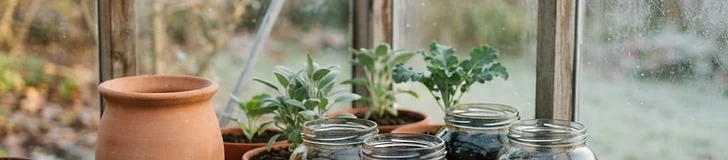 A small backyard greenhouse with water-filled black barrels lined up against the back wall to absorb sunlight and heat.