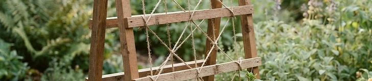A rustic wooden ladder trellis built from 2x2 lumber stands in a garden bed with lush green cucumber vines beginning to climb the vertical twine rungs.