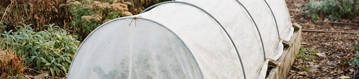 A raised garden bed covered with a white agricultural fleece supported by arched hoops on a crisp autumn morning.