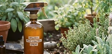 Close-up view of a green gardening spray bottle being used to mist the underside of a vibrant vegetable leaf in a sunny garden.