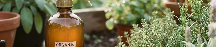 Close-up view of a green gardening spray bottle being used to mist the underside of a vibrant vegetable leaf in a sunny garden.