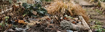 Winterizing Your Backyard: A Proactive Guide to Garden Dormancy