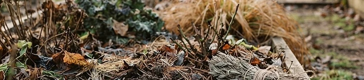 Winterizing Your Backyard: A Proactive Guide to Garden Dormancy
