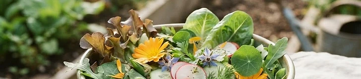 Garden-Fresh Salads: From Soil to Bowl in Minutes