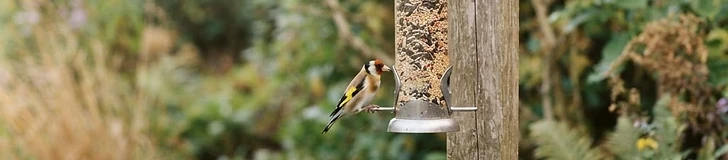 A close-up of a wooden platform bird feeder filled with sunflower seeds mounted on a clean metal pole in a sunny backyard.