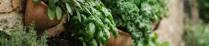 A close-up of a dark fabric vertical wall planter filled with vibrant green lettuce and fresh herbs attached to a sunny wooden fence.