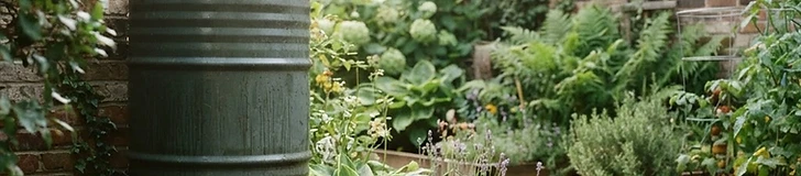 A close-up view of a rain barrel diverter installed on a white house downspout leading into a green collection barrel in a backyard garden.