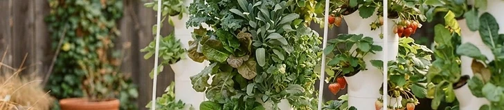 A sleek white hydroponic tower stands on a small urban patio, filled with vibrant green lettuce and ripe red strawberries.