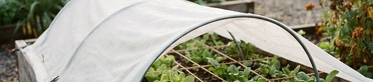 A close-up view of a raised wooden garden bed covered with white, translucent garden fleece secured over wire hoops.