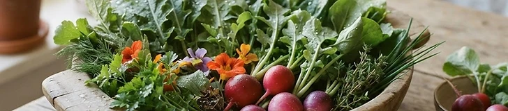 A rustic wooden bowl filled with freshly harvested mixed garden greens, colorful radishes, and herbs sitting on a sunlit kitchen table.