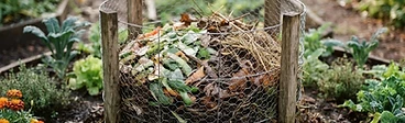 A close-up view of a gardener's hands placing kitchen scraps into a wire-mesh compost basket centered in a stone-walled raised keyhole garden bed.