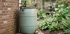 A blue plastic rain barrel positioned next to a brick house wall connected to a white metal downspout with a diverter hose.