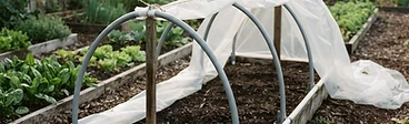 A backyard garden bed covered with a clear plastic hoop house structure held up by white PVC pipes.