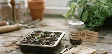 Glass jars filled with various dried garden seeds sitting on a wooden table next to a small pencil and labels.