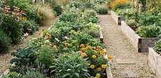 A symmetrical home vegetable garden featuring four raised wooden beds with crisp gravel paths in between and a central wooden trellis.