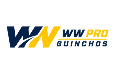 Logo WW Pro Guinchos