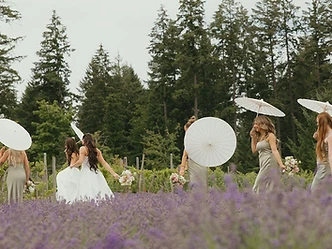 Wedding — Lavender Field