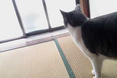 チャンくんの再会
