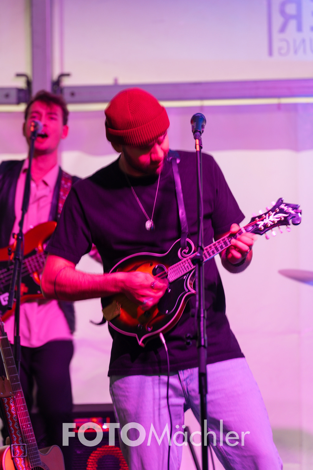 Mandolin