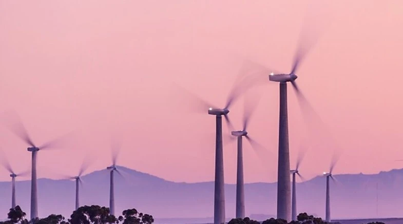 Eastern Cape government delegation explores renewables