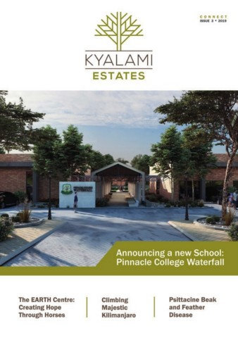 Issue 3 2019