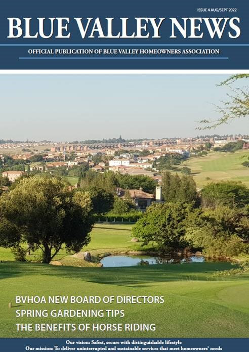 Blue Valley Issue 4 2022