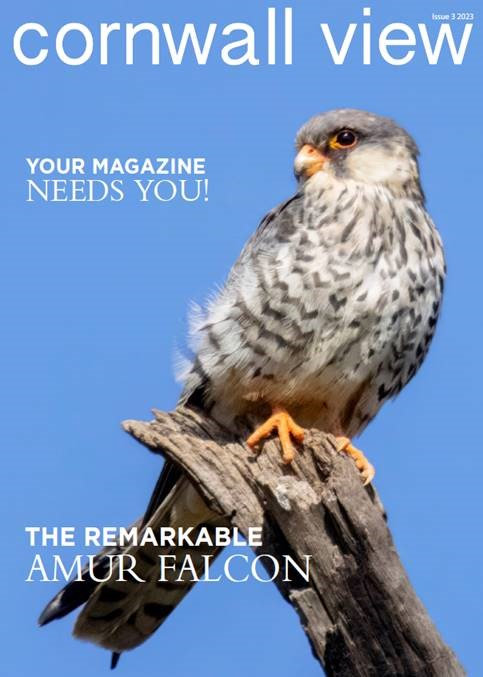 Cornwall Hill Issue 3 2023