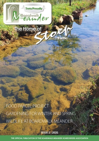 Issue 3 2020
