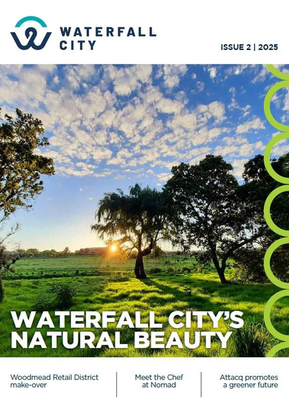 Waterfall City 2025 February Issue