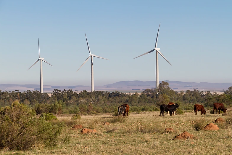 More jobs and investment from wind tower manufacturers