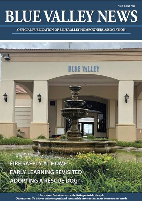 Blue Valley Issue 3 2022