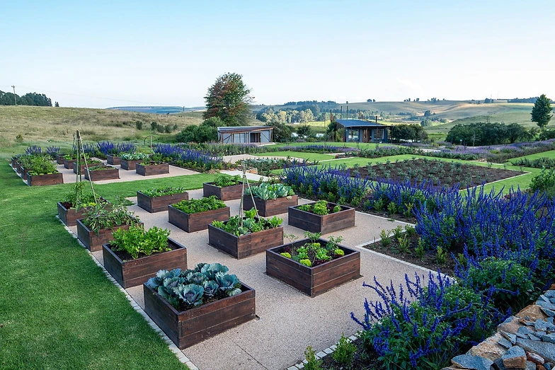 BRAHMAN HILLS LIVES GREEN