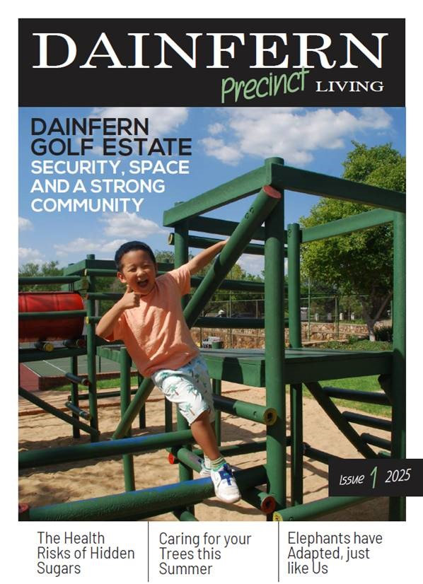 Dainfern Precinct Living Issue 1 2025
