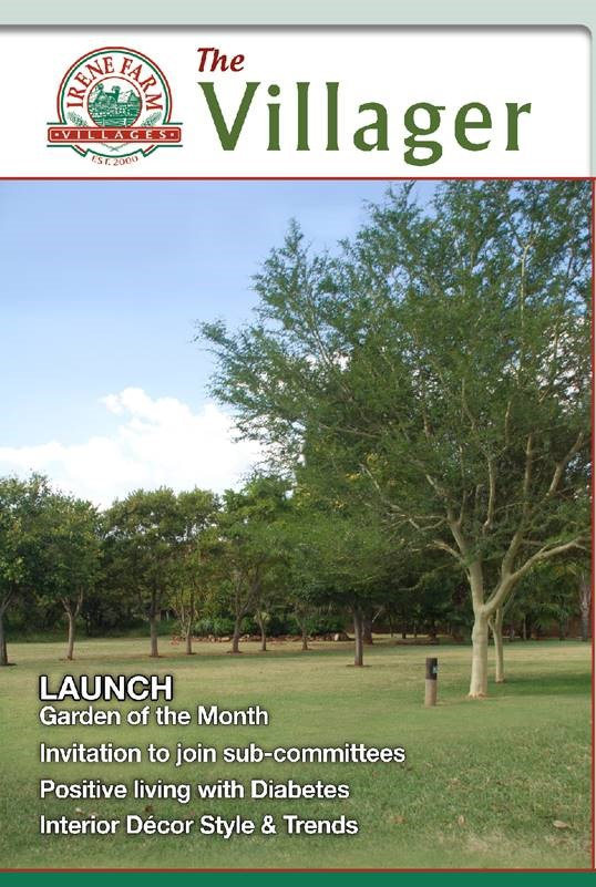 Irene Farm Village February 2024