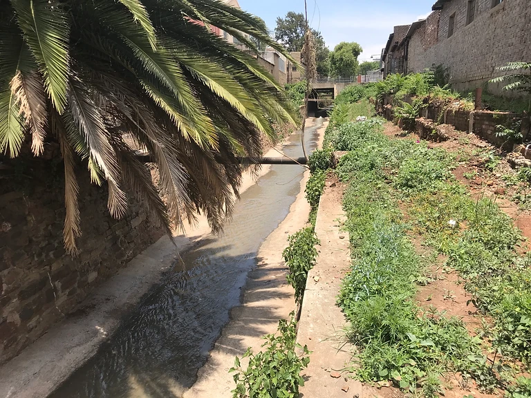 Engineers and scientists support Jukskei River clean-up project