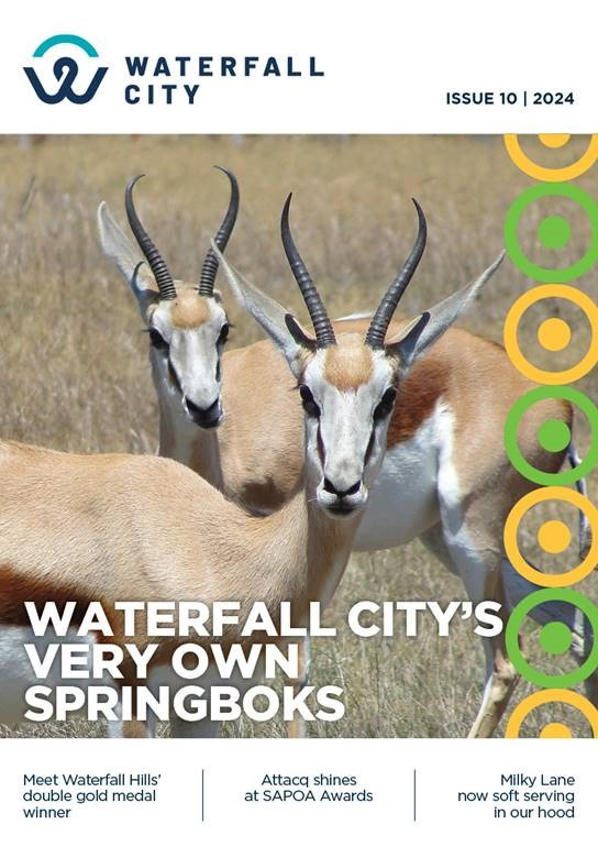 Waterfall City October 2024