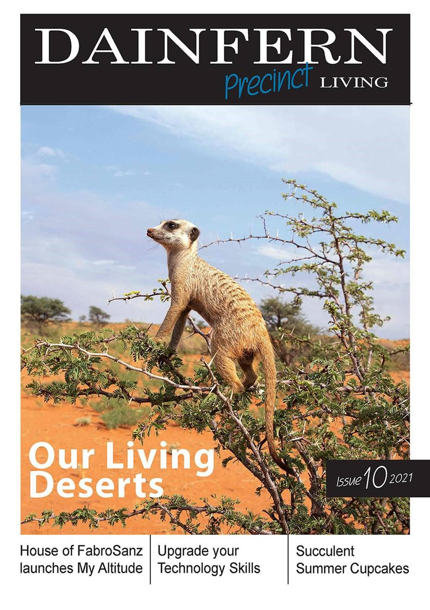 Dainfern Precinct Issue 10  2021