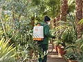 NEW STIHL BATTERY SPRAYER