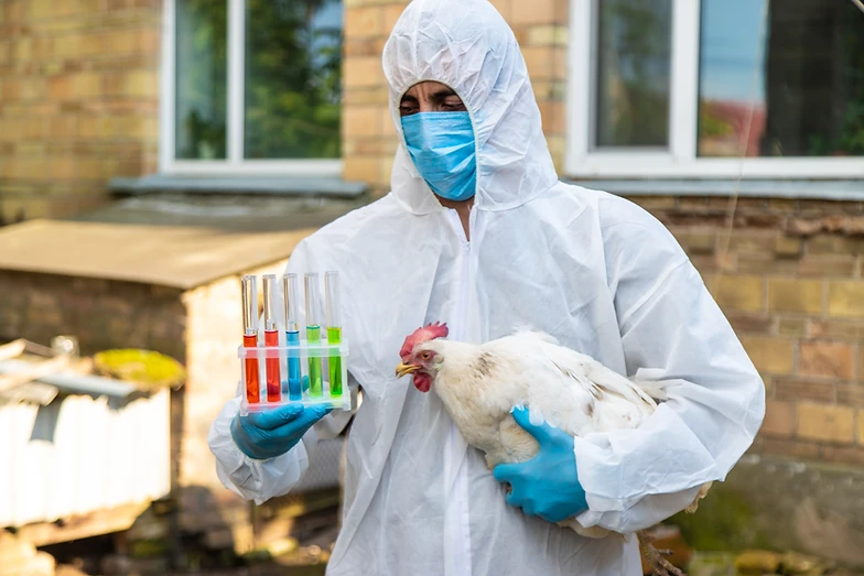 PlantForm and Smart Biotech to evaluate plant-based production of antigens for avian influenza diagnostic testing