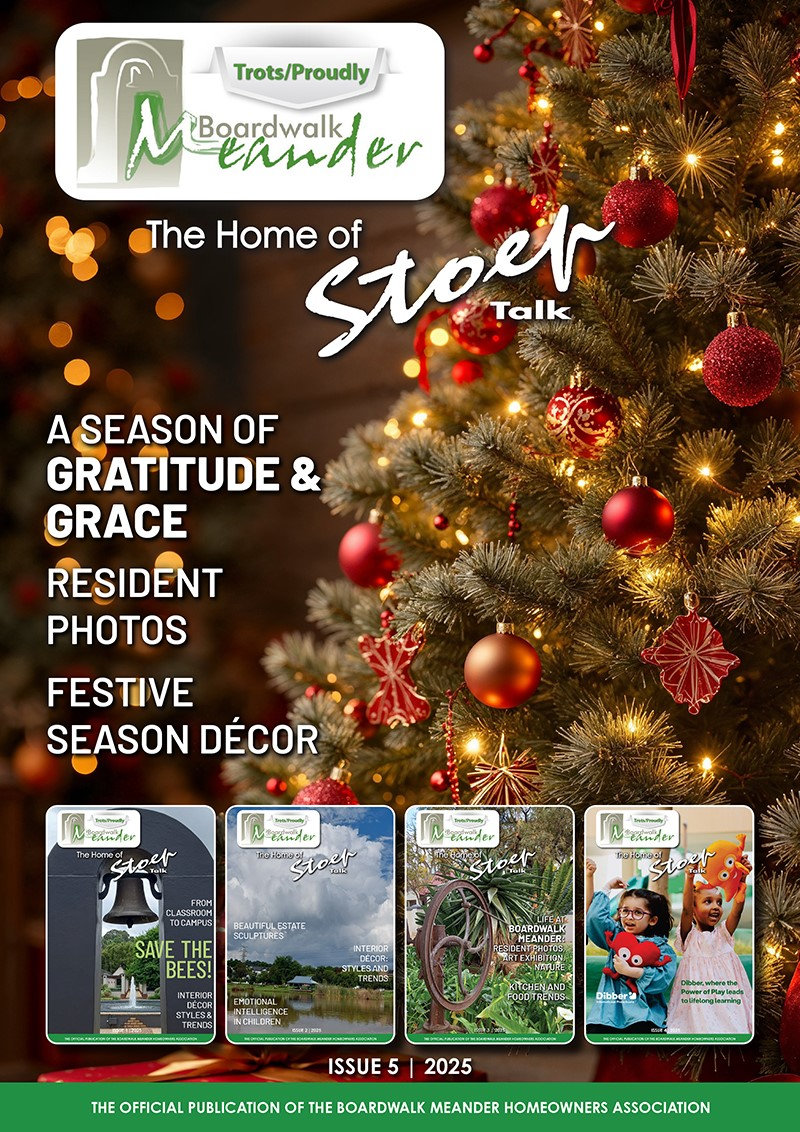 Boardwalk Meander. The December Issue 2025